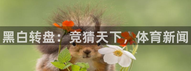 新闻图片